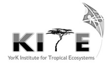 Kite logo scaled